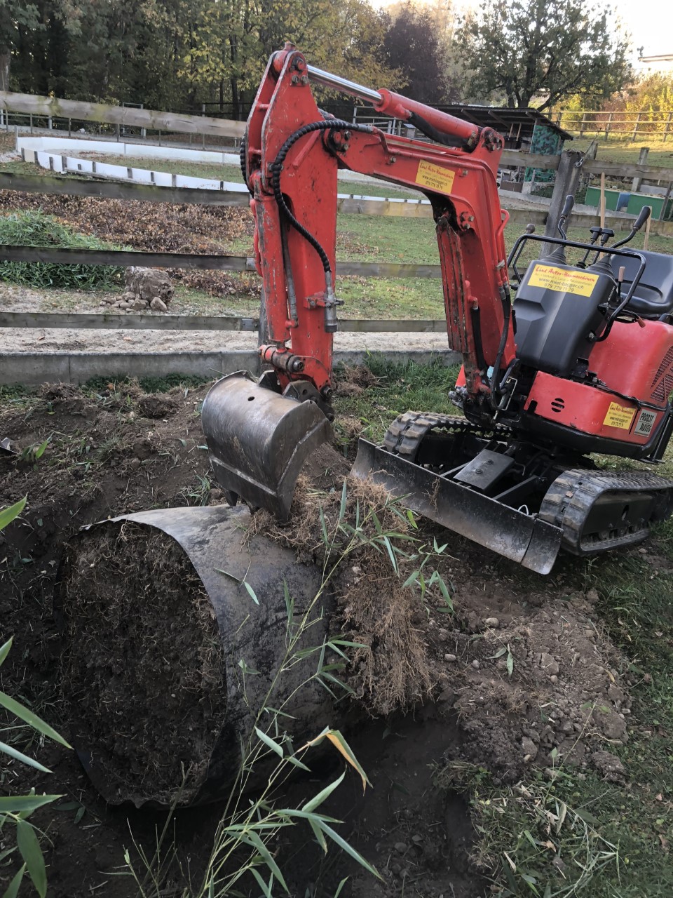 Bagger der Rasen umgräbt grün fröhlich schön